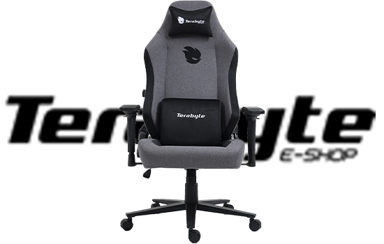 Cadeira Gamer Terabyte Style